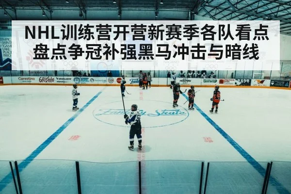 ice hockey arena game
